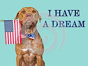 Lovable, charming dog and American Flag. Closeup