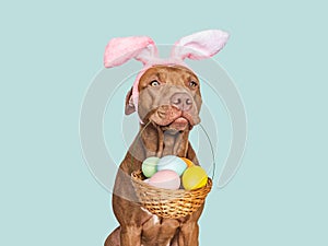 Lovable, pretty puppy and a basket of Easter eggs