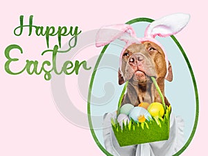 Lovable, pretty puppy and a basket of Easter eggs