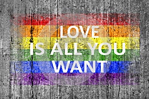 Love is all you want and LGBT flag painted on background texture