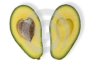 Love Avocado