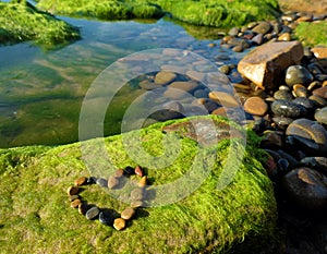 Love background, heart, beach, valentine day