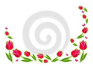 Love background, a spring flowers, crimson tulips on white. A white backdrop with flowers.