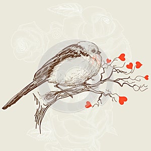 Love bird