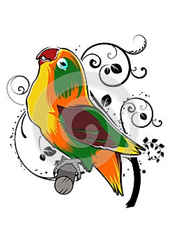 Love Bird Art Illustration Vector coloring decorative background