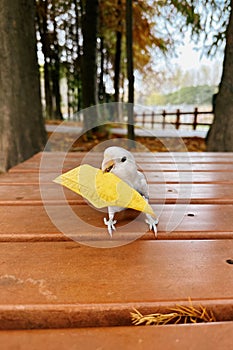 love bird Carrying a leaf photo