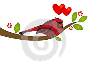 Love bird hearts cardinal on tree