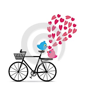 Love birds with bicycle vector