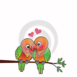 Love Birds in love on isolate white background