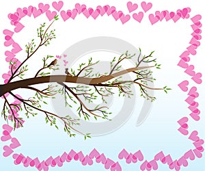 Love Birds in a spring branch tree vector