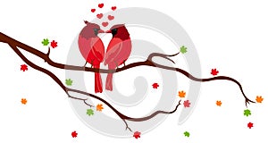 Love Birds on Tree Branch