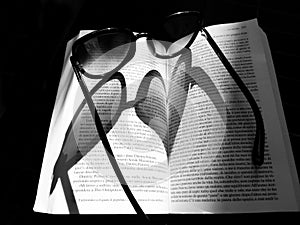 Love for books, conceptual shadow heart over the book