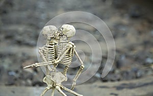 Love buddy human skeleton on railway background