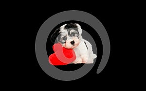 Love card design with puppy