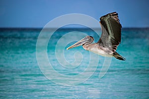 Love in carribean beach sea awesome