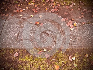 Love carved on the stone path