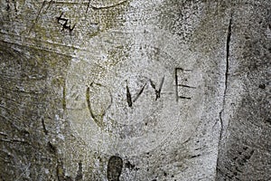 Love carving on a tree bark