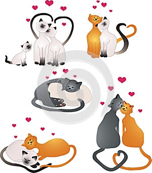 Love cats
