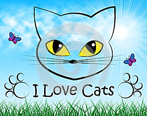 Love Cats Shows Tenderness Pedigree And Passion