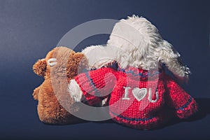Love concept peluches