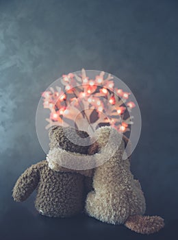 Love concept peluches