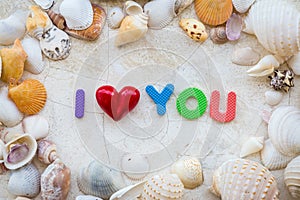 Love concept with sea shell frame and word i love you