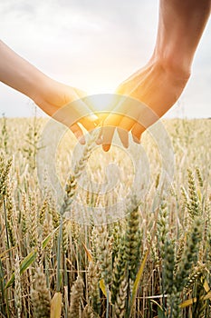 Love couple taking hands and walking on golden wheat field over beautiful sunset.