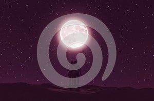 Love couples under the moonlight