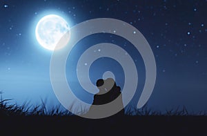 Love couples under the moonlight