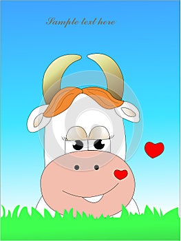 In love cow