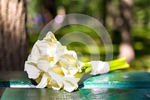 love, dating or wedding day concept - bouquet white callas flowers