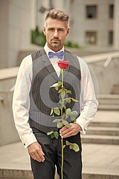 love day concept. tuxedo man with love rose. flower gift for love day