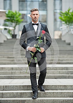 love day concept. walking tuxedo man with love rose. flower gift for love day