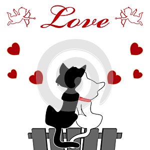 Love design,cat love designcat day wallpaper