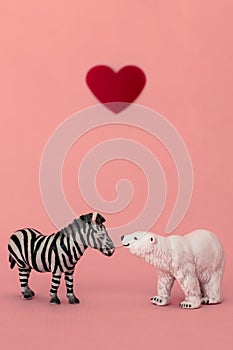 Love between the different and opposed: a bear, carnivorous from a cold habitat and a zebra, herbivorous from a hot habitat