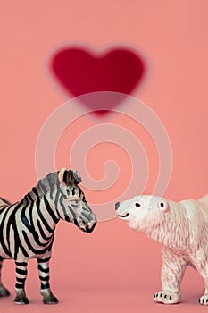Love between the different and opposed: a bear, carnivorous from a cold habitat and a zebra, herbivorous from a hot habitat