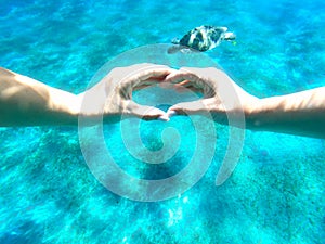 Big turtle underwater view, snorkel in a crystal clear water, Marsa Alam Egypt Abu Dabab Coral Rift, Abu Dabbab