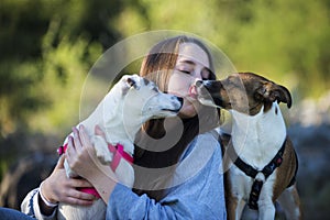 Love of a dog breed Jack Russell Terrier