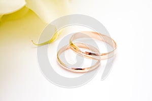 love, family, celebration, ceremony concept -wedding symbols two golden rings with callas white flowers