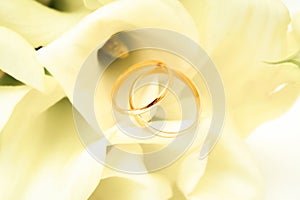 love, family, celebration, ceremony concept -wedding symbols two golden rings with callas white flowers