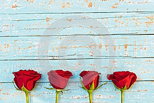 Love flowers background, red roses on light blue wood