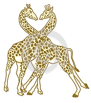 Love giraffe