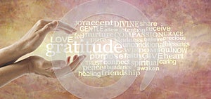 Love and Gratitude Word Cloud photo