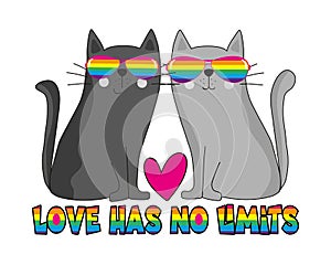 Love has no limits - LGBT pride slogan against homosexual discrimination. Motivational saying with cute cats.