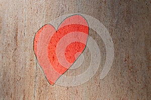 Love heart hand painted on a trunk tree. Love concept