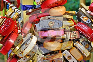 Love Heart Locks. Many Colorful Padlocks Tree Background