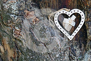 Love heart tree trunk background texture