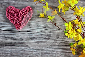 Love heart on wooden background with Laburnum blossom