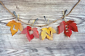 Love hearts on colorful autumn leaves with wooden background.