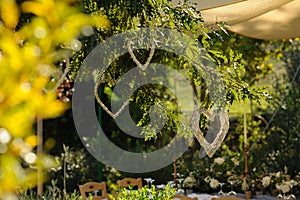 Love hearts hanging from a tree outdoor wedding Rome.